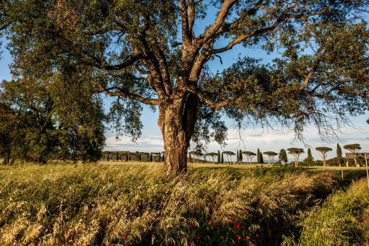 Refugium Countryhouse Podere Cernaia Exterior foto